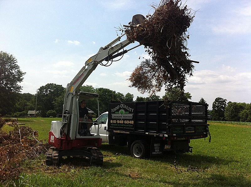 Brush Clearing Photos, Lawn Installation Photos Pottstown, Limerick, PA