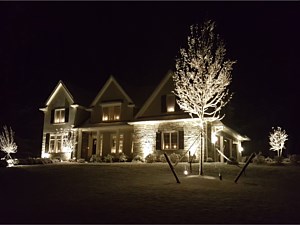Landscape uplighting