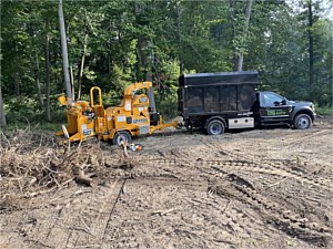 Wood chipper and truck used for tree removal